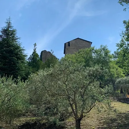 Апартаменты Villa Greoux